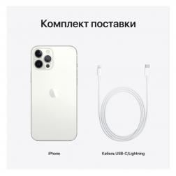 Apple iPhone 12 Pro Max 256Gb Silver (Серебристый)