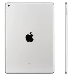 Apple iPad 10,2" (2021) Wi-Fi + Cellular 256 ГБ, Silver (серебристый)